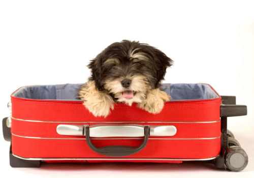 Making Travel Arrangements for Families and Pets
